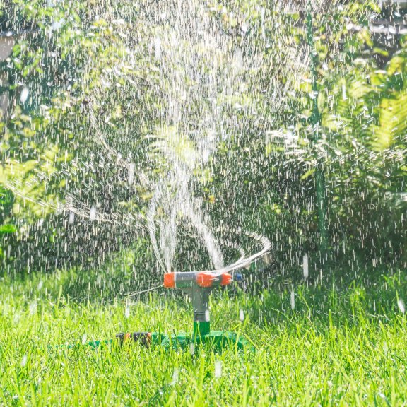 Wassersprinkleranlage gießt Pflanzen